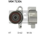VKM 71304