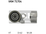 VKM 71704