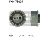 VKM 75629