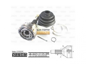 Outer CV Joint G10002PC (PASCAL)
