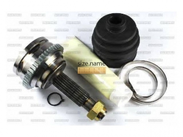 Outer CV Joint G10018PC (PASCAL)