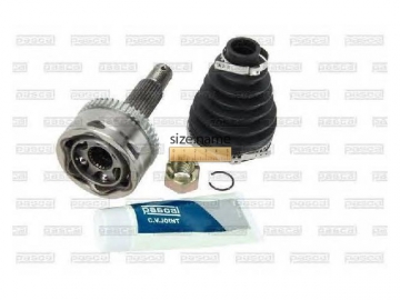 Outer CV Joint G10349PC (PASCAL)
