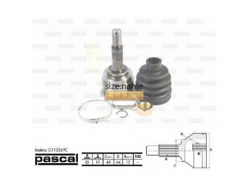 Outer CV Joint G11036PC (PASCAL)