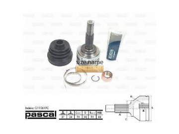 Outer CV Joint G11061PC (PASCAL)