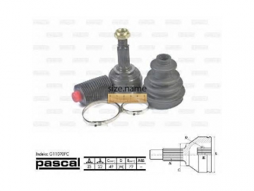 Outer CV Joint G11070PC (PASCAL)