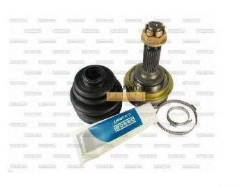 Outer CV Joint G12031PC (PASCAL)