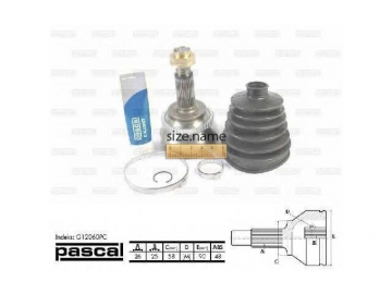 Outer CV Joint G12060PC (PASCAL)