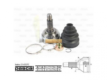 Outer CV Joint G14032PC (PASCAL)