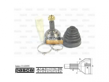 Outer CV Joint G14038PC (PASCAL)