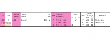 Piston Ring sets 42019 (TP)